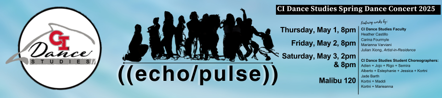 blue banner with echo/pulse dance concert title
